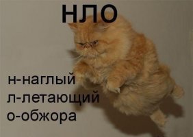 НЛО.jpg