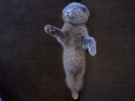 2013-03-21 20.07.55.jpg
