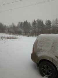 IMG_20200331_070850.jpg