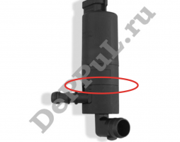 S00429-22101095(2).png