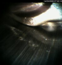 000314_072212.jpg