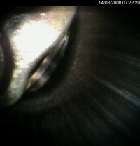 000314_072220.jpg