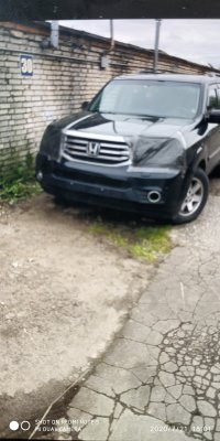 1595343688499..jpg 1595343688499..jpg