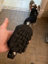 74876