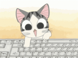 893357635.gif