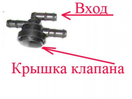 81085 81085
