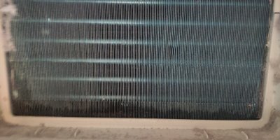 P10823-085500.jpg
