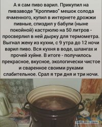 14037516.jpg