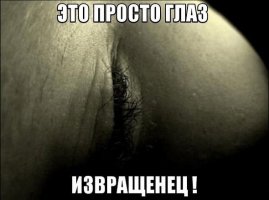 15902256.jpg