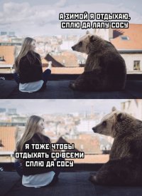 15971197.jpg