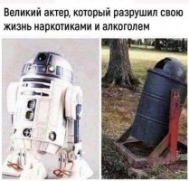 16049860.jpg