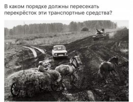 16049843.jpg