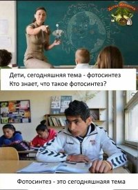 16154139.jpg