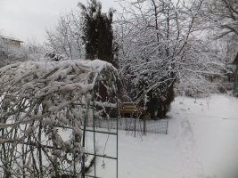 DSCF5792.JPG