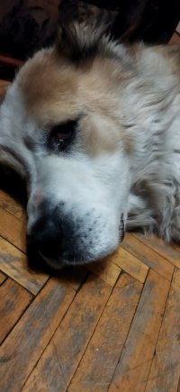 IMG_20211205_205315.jpg