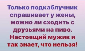 16203346.jpg