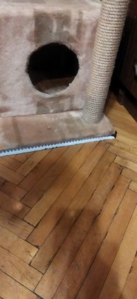 IMG_20211208_215320.jpg
