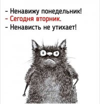 CB8F0F63-4C7C-402C-86EA-68322B4289BF.jpeg