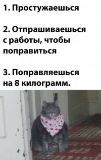 IMG-20220126-WA0023.jpg