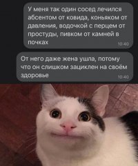 16427052.jpg