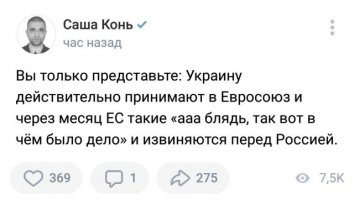 16545333.jpg