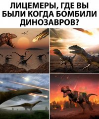 16571290.jpg
