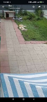 Screenshot_2022-06-22-19-40-23-290_com.whatsapp.jpg