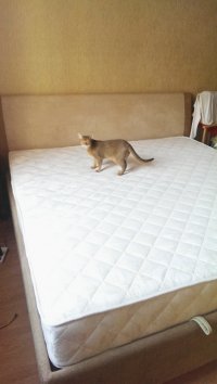 IMAG3877.jpg