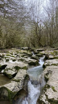 IMG_8863.jpeg
