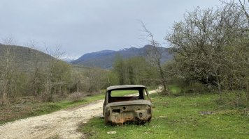 IMG_8866.jpeg