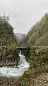 IMG_8901.jpeg