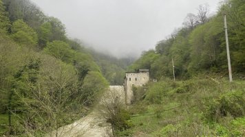 IMG_8939.jpeg