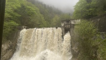 IMG_8943.jpeg