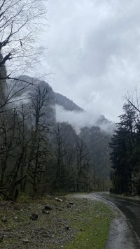 IMG_9008.jpeg