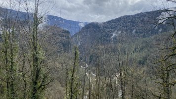 IMG_9037.jpeg