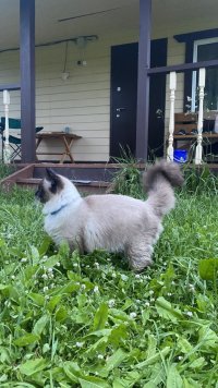 IMG_9747.jpeg