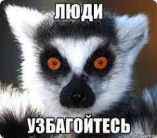 Без названия 01.jpg