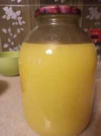 IMG_20230718_202640.jpg