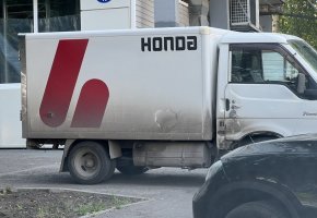 IMG_7685.jpeg IMG_7685.jpeg