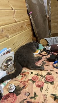 IMG_0558.jpeg
