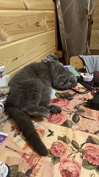 IMG_0559.jpeg