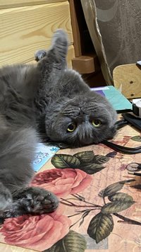 IMG_0560.jpeg