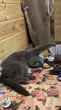 IMG_0561.jpeg