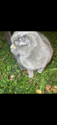 IMG_0566.png