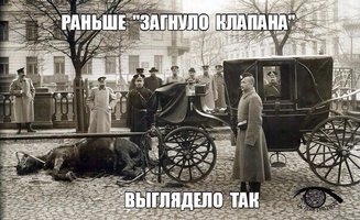 IMG_2233.jpeg