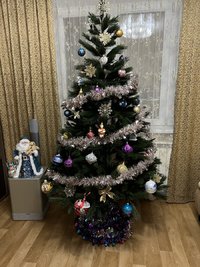 IMG_0321.jpeg IMG_0321.jpeg