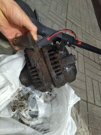 IMG_20240503_132005.jpg
