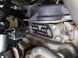 IMG_20240503_163028.jpg