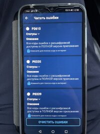 IMG_8728.jpeg