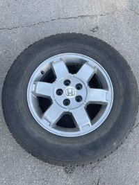 IMG_1709.jpeg